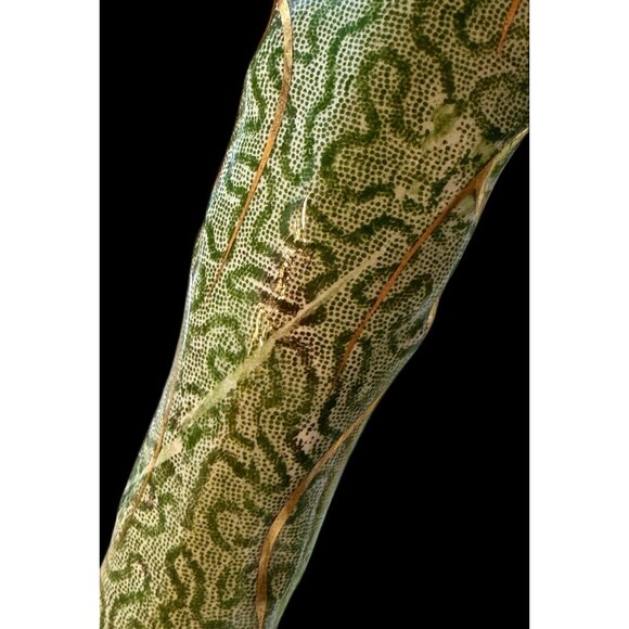 VTG Johnson Bros Covered Dish  China with Serving Ladle England - Picture 15 of 16